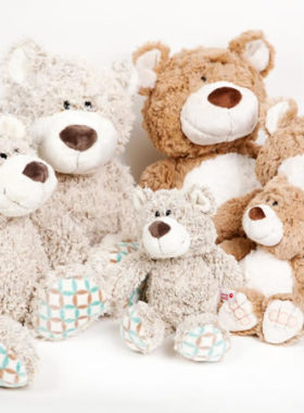 Selection of Teddys